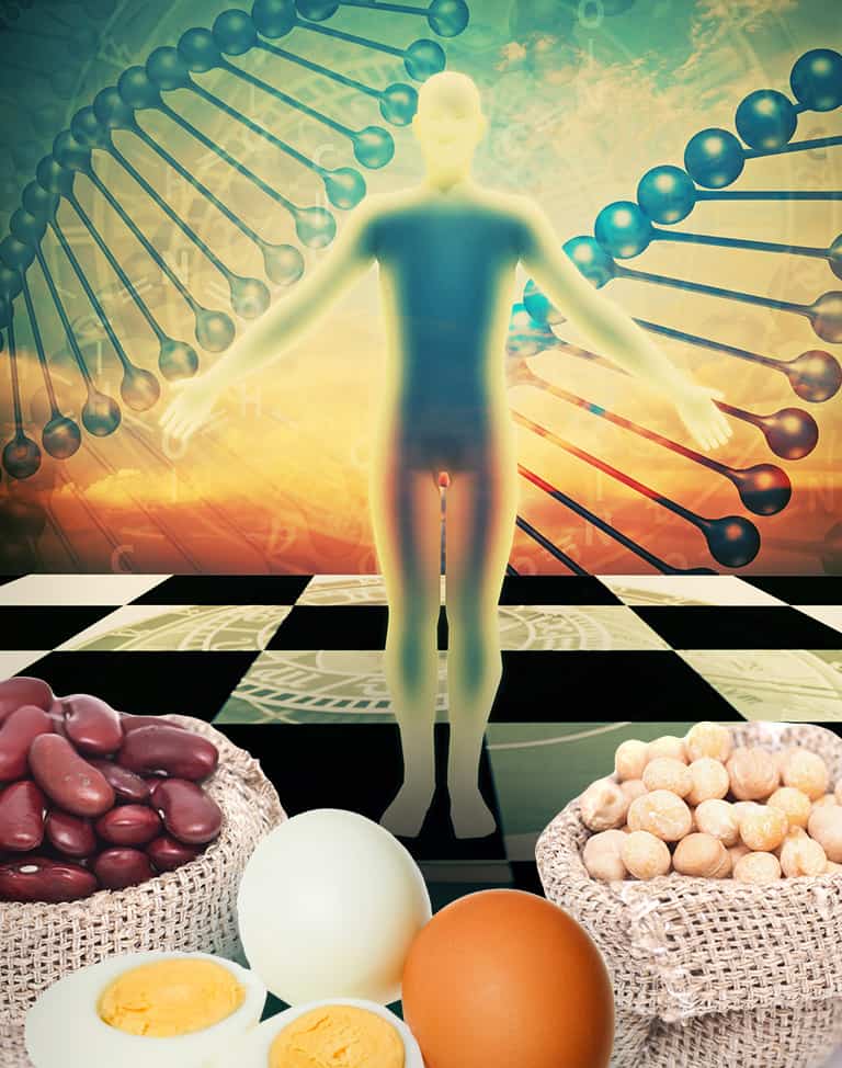 Amino Acids